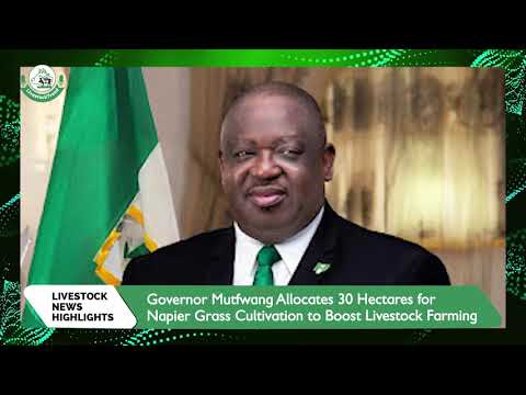 Livestock News Highlights March 2025 Week 1