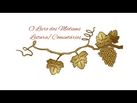 O Livro dos Médiuns - Cap. XXIV - Item 267 - Sub itens 22º ao 26º.