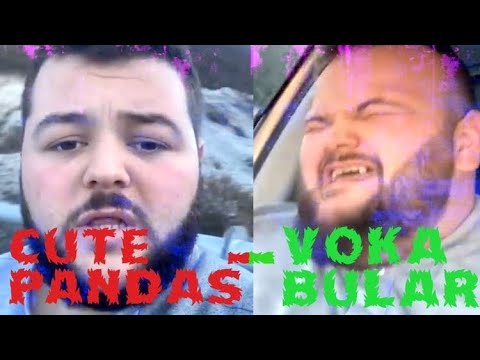 Cute Pandas -VOKABULAR (Official Vertical Video)