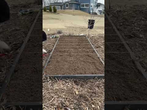 How to Square Foot Garden in “Raised” Beds! #gardening