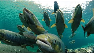 Lecture 6 (2019) - UNCLOS