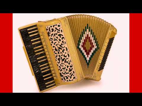 acordeones Fisitalia en Chileacordeon