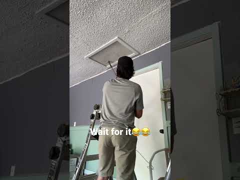 Big RAT falls out of ceiling on ME🐀 #rats #rat #animals #trapping #wildlife #outdoorlife #rodents