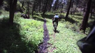 Central section of Big Silverlead Trail.