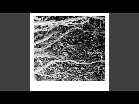 Welcome To The Jungle