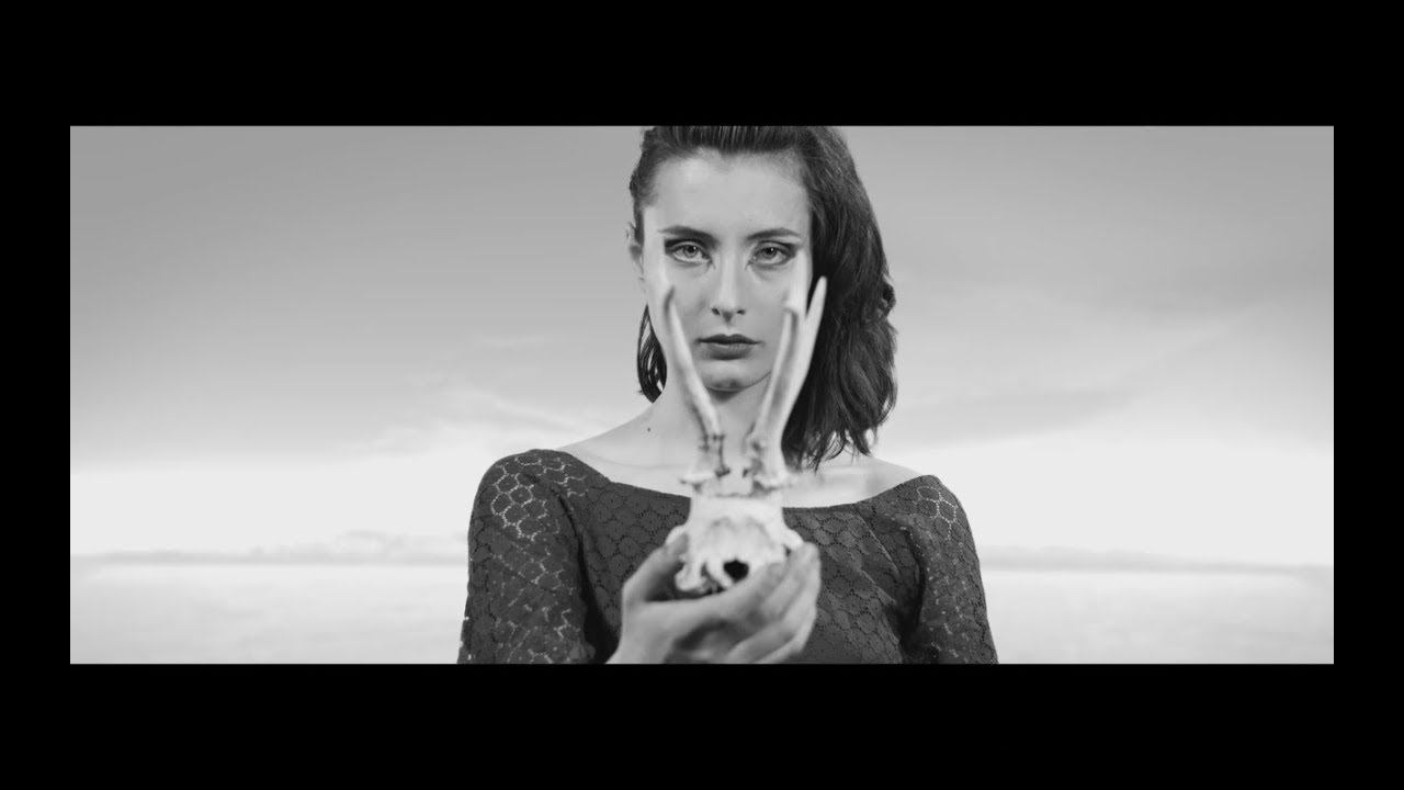 Cliquer pour lancer la vidéo