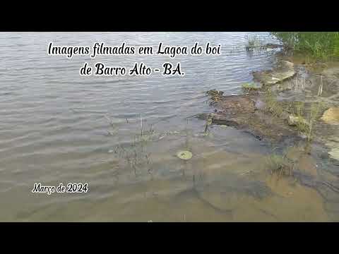 #Lagoa do boi de Barro Alto-BA.