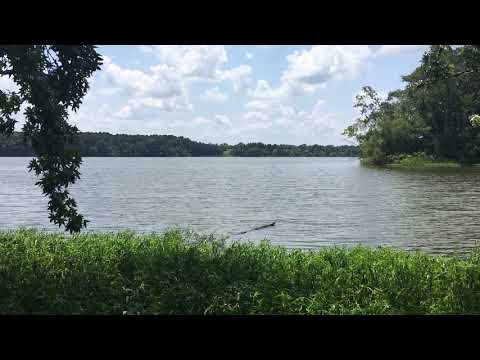 View of lake from RV