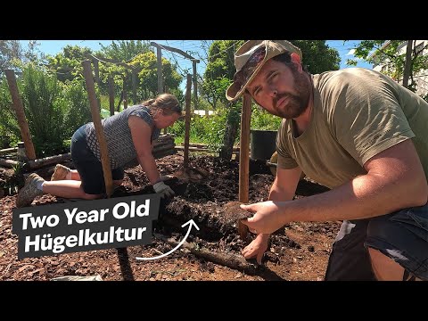 Unexpected Results Revealed: Pulling Apart Hügelkultur Raised Beds