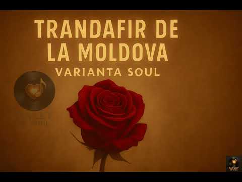 Trandafir de la Moldova - Varianta Soul