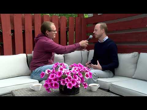 Almedalen - Vänsterpartiets dag