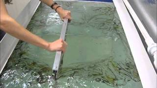 HYDRO DIPPING Gun stock HYDRO DIPPING Gun stock