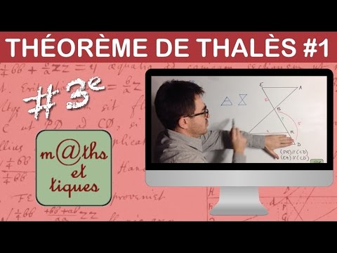 Apply Thales' theorem (1) - Third