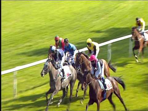 Galopprennbahn Dresden - 25.09.2016 - 2.Rennen