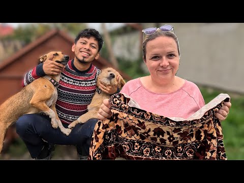 🇷🇴 MY BROTHER'S DOGS HAVE A NEW HOME 🇷🇴