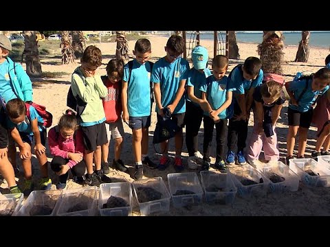 Video Thumbnail: 22 loggerhead turtles are released into the Balearic Sea at Almarossa