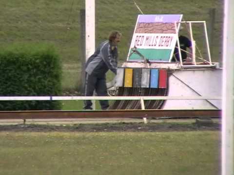 European Derby 1st semifinal 280m MIX A2 whippet