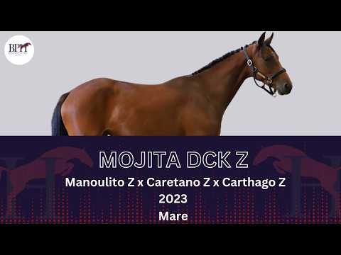 Mojita DCK Z