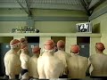 Rogers PVR Swimming Pool Commercial 2004