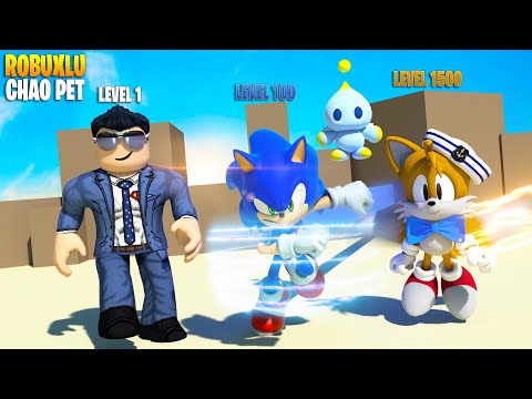 ⚡ Yeni Hill Top Bölgesi! Evolved Berry Chao! ⚡ | Sonic Speed Simulator | Roblox Türkçe