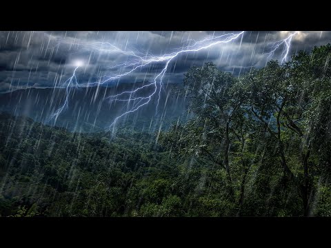 Rain Forest Thunder & Rain Sleep Sounds | White Noise 10 Hours