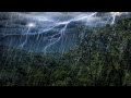 Rain Forest Thunder Rain Sleep Sounds White Noise 10 Hours