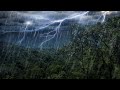 Rain Forest Thunder & Rain Sleep Sounds | White Noise 10 Hours