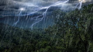 Rain Forest Thunder &amp; Rain Sleep Sounds | White Noise 10 Hours