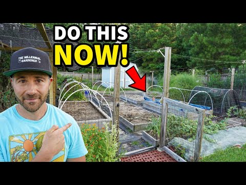 Do These 3 Things NOW To Boost Your Garden!