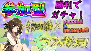 【パズドラ】3Yマルチで生存人数分゛物語コラボ゛引いていきます(^-^)【参加型】