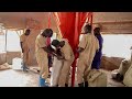 How We Prepare Feeds For OVER 20 000 Chickens On The Farm