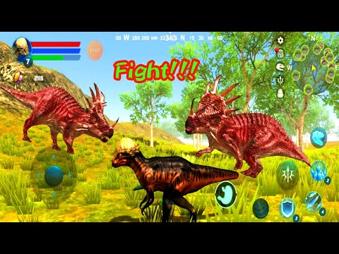 Pachy vs Styracosaurus Fight| Pachycephalosaurus Simulator| Android Gameplay #14| Dinosaur Simulator