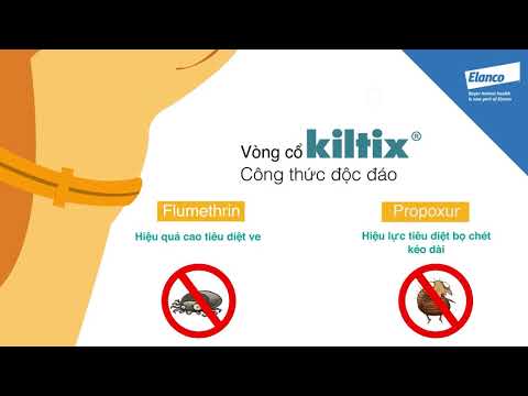 Vòng đeo cổ Kiltix  diệt ve, bọ chét