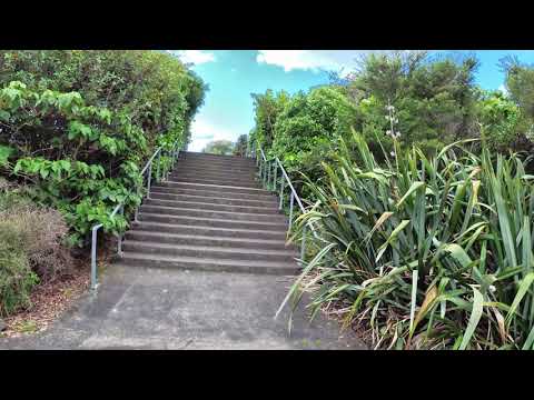 Stonefields 4K walk through video / Wetlands Park video / Auckland 4K video / New Zealand 4K video