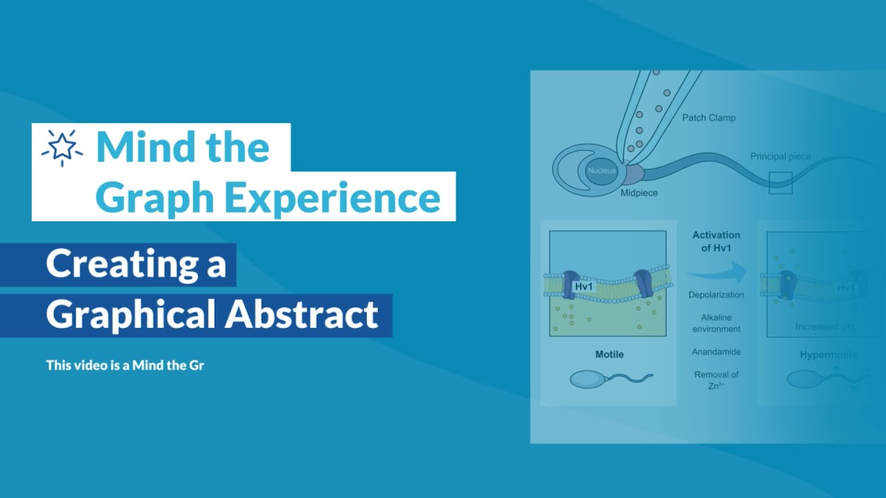 Mind the Graph Experience | Creating a Graphical Abstract
