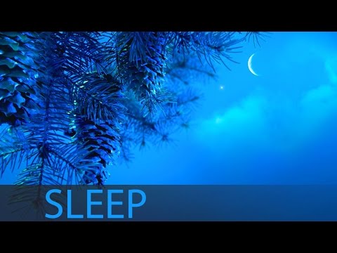 8 Hour Sleep Music, Insomnia, Deep Sleep Music, Calm Music, Sleep Meditation, Sleeping Music, ☯207