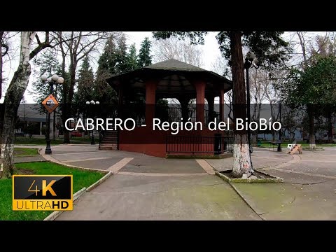 Cabrero - Región del BioBío