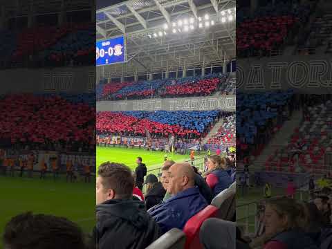 Coregrafie peluza SUD Steaua Meci Steaua-Rapid Cupa României #football #steaua #rapid #ultraman