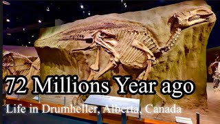 Uncovering the Largest Dinosaur Fossils in Drumheller, Alberta Canada