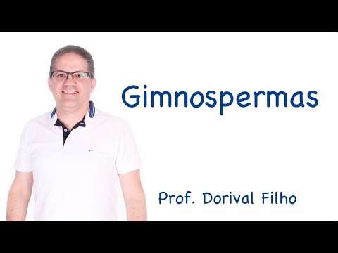 Gimnospermas