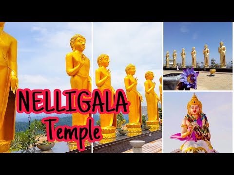 Nelligala International Buddhist Center-Nelligala-NelligalaTemple-Best Place To Travel Nelligala SL