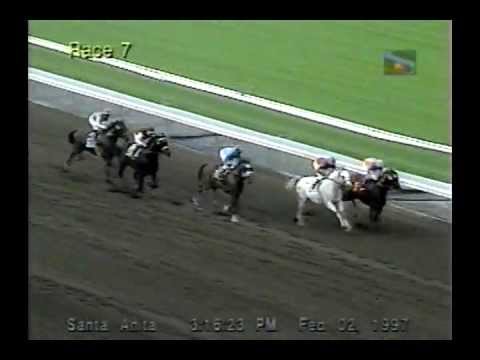 1997 San Antonio Handicap - Gentlemen -vs- Alphabet Soup