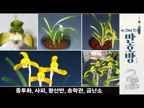 유튜브 썸네일