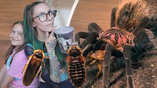 My Daughter FEEDS My SPIDERS?!