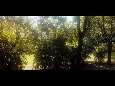 Pasaka "Kā Čoks par dārznieku kļuva "