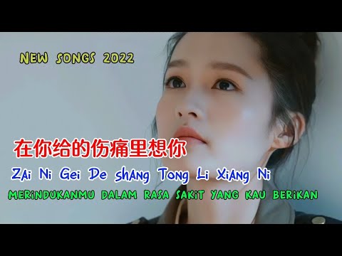 Em nhớ anh trong nỗi đau anh đã ban (Zài nǐ gěi de shāng tòng lǐ xiǎng nǐ - 在你给的伤痛里想你) - Lu Nan