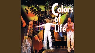 Colors of Life (Instrumental)