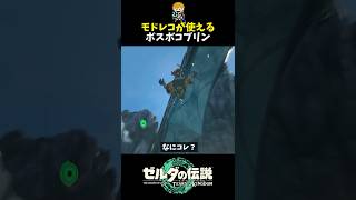 ボスボコブリンが高速上昇する謎のバグ #shorts  #ゼルダの伝説ティアーズオブザキングダム #ティアキン