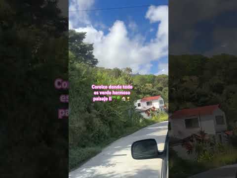 Coroico la paz Bolivia #reels #shortvideo #🌴