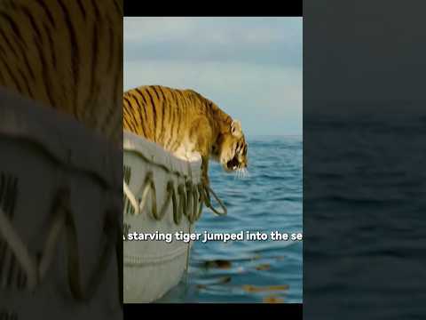 "Trapped at Sea with a Tiger | Life of Pi (2012) in 2:47" #shorts #english #movie